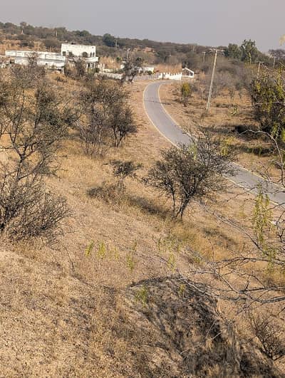 95 kanal land for farm house balksar