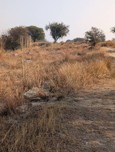 160 kanal agricultural land for sale balksar chakwal