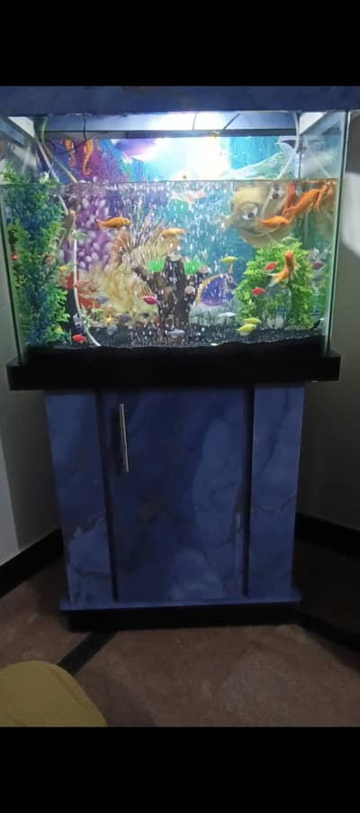 Aquarium