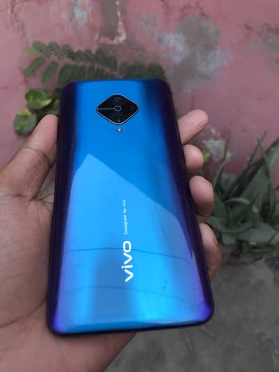 Vivo y51 official Pta approved