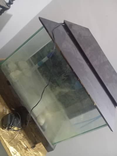 Aquarium without pump