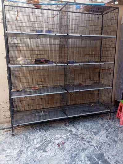 cage for birds