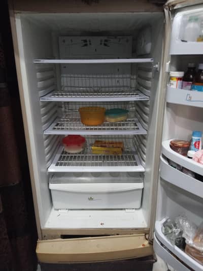 PEL DOUBLE DOOR REFRIGERATOR