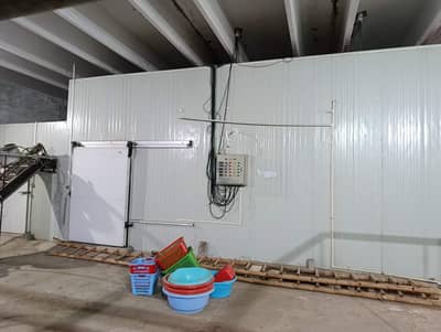 Fully Automatic 200 Kg/Hour French Fries Production Line Cold Storage