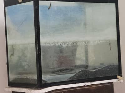 Koi  beutiful Jet Black