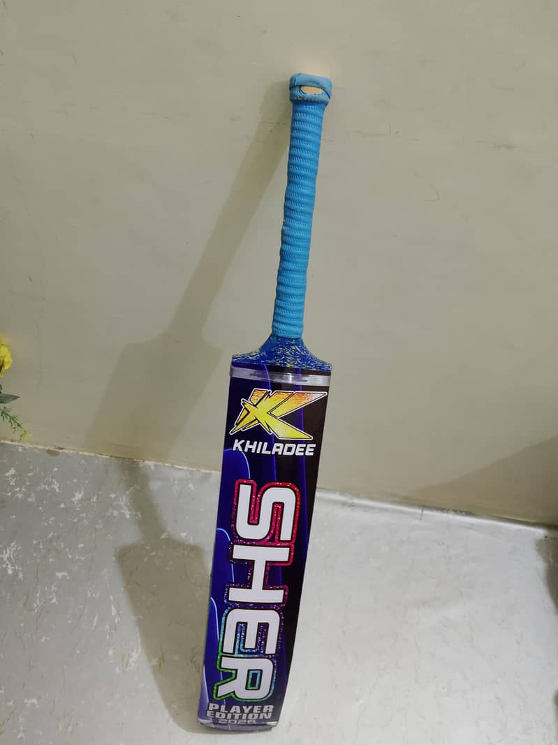 Cricket bat 2