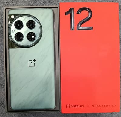 OnePlus 12 PTA approved