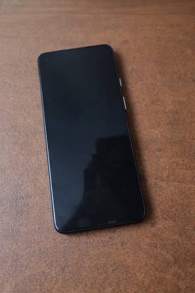 ONE PLUS 9 ORIGINAL PANNEL