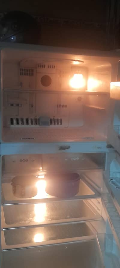 Big Size Dawlance Fridge