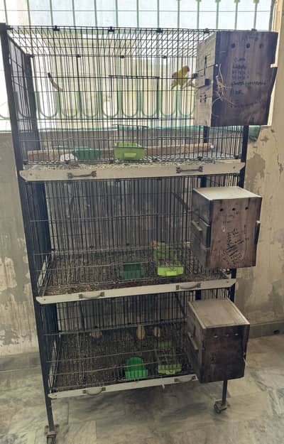 3 portion portable cage