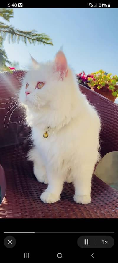 barider male meeting k lea