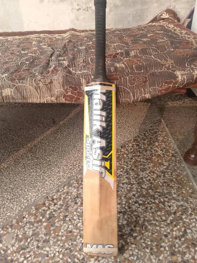 real English fellow bat