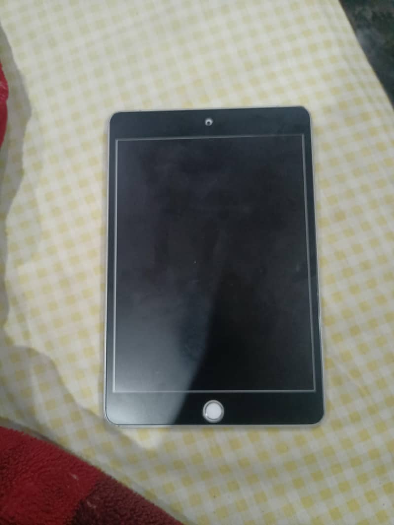 ipad mini 5 0