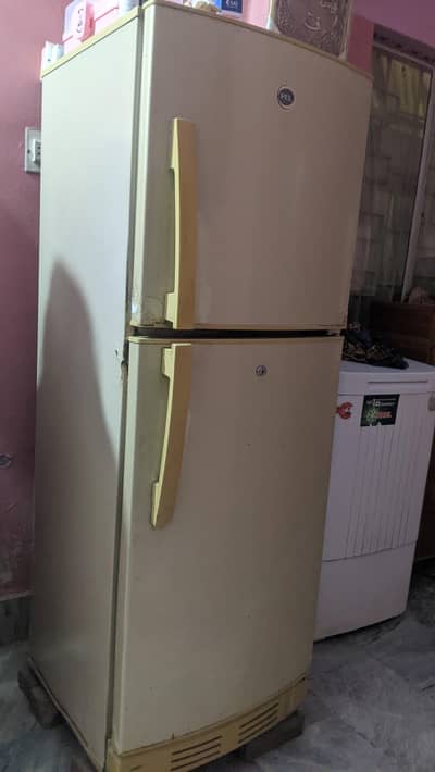 PEL FRIDGE