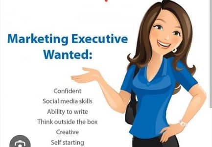 Marketing Executive