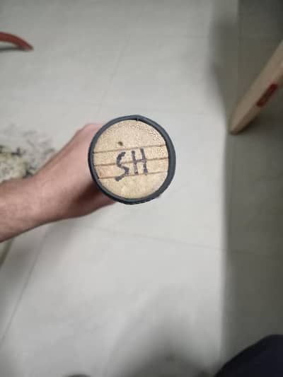 GM cricket bat English willow