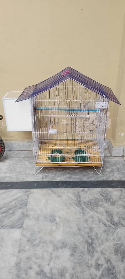 lovebirds cage