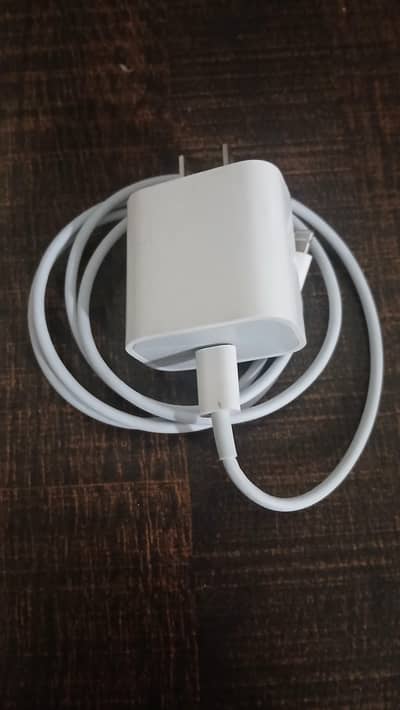 iPhone charger