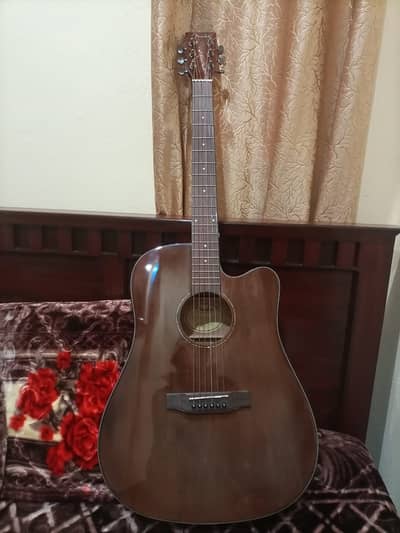 Semi Acoustic Guitar