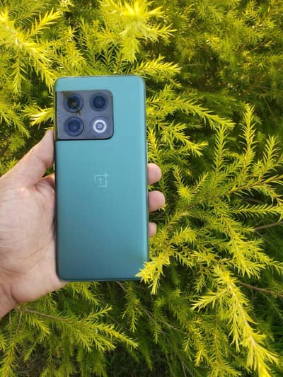 oneplus 10 pro 12/256gb in 10/10 mint condition Urgently sale!