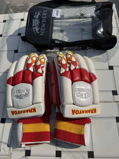 Batting gloves imported