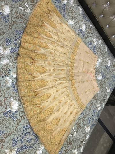 Rajastani langha 10 by 10 Condition