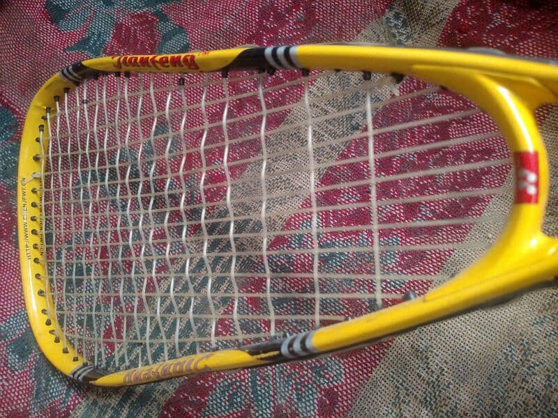 Squash Racket 1