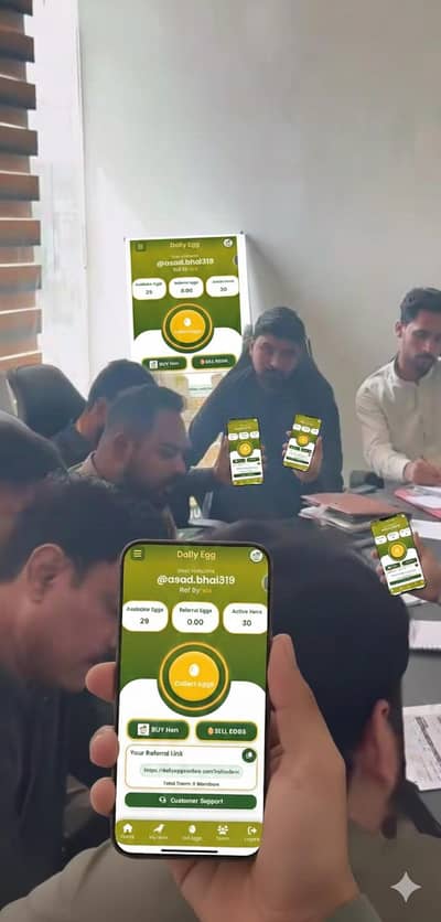 hands by and egg sale contact only WhatsApp