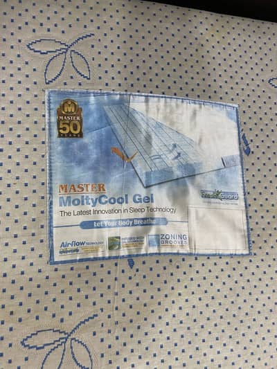 Master Molty Foam (Molty Cool gel)