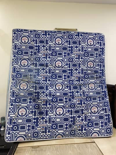 Master Molty Foam (Molty Cool gel)