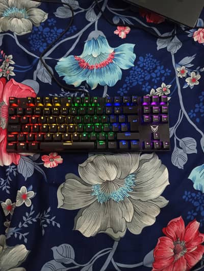 Pictek PC244A Mechanical Gaming Keyboard - Blue Switches (RGB)