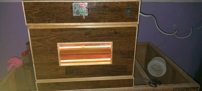 100 eggs incubator