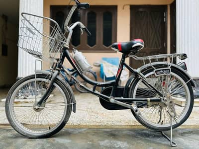 Smooth & Stylish – Dolphin River Bicycle Available