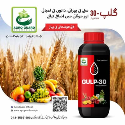 Gulp 1ltr (liquid potash )