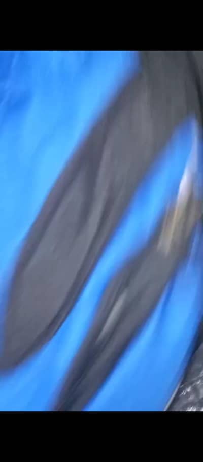 imported School Bags