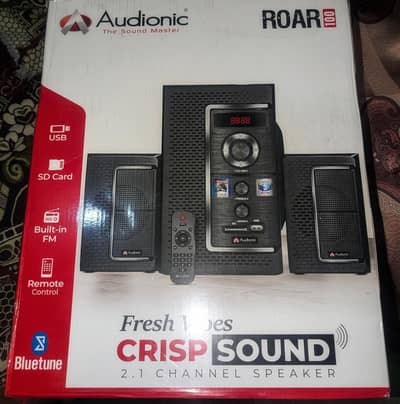 Audionic roar 100