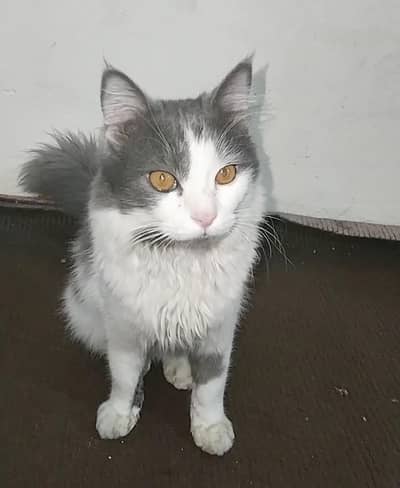 only serious buyers contact. . . . .