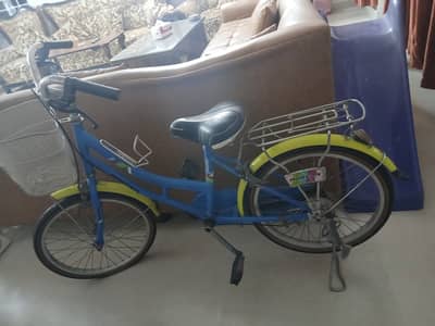 Morgan Bicycle with all accessories