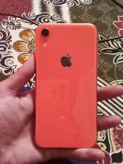 iPhone XR Orange Color