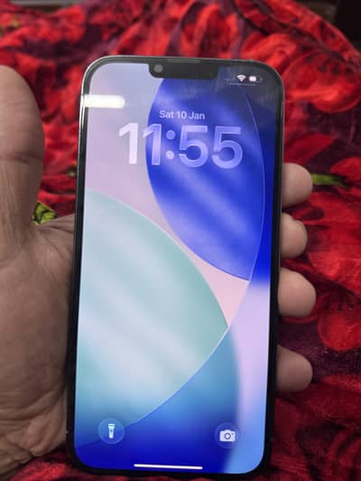 Apple iPhone 13 Pro Max