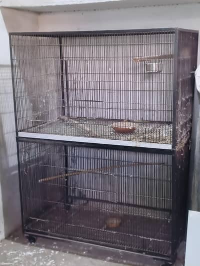 cage for sale