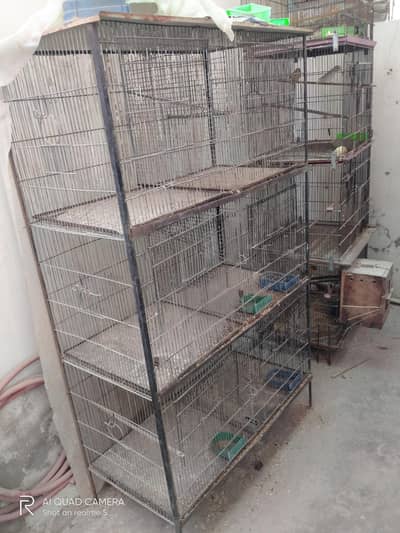 6 Portion Cage