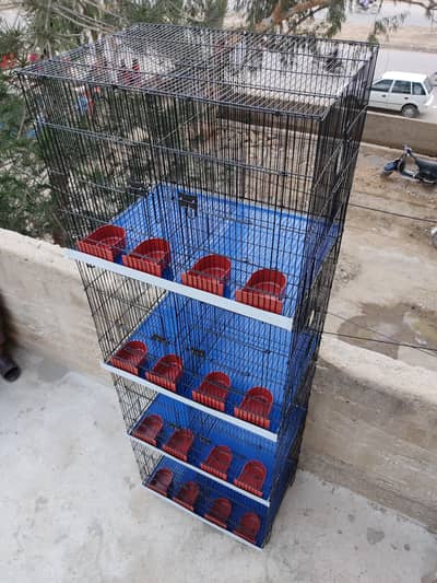 Folding Cages