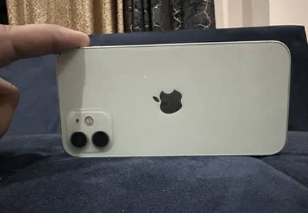 Simple 12 pta 64 03170444804