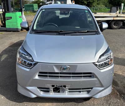 Mira 2024/26 4.5 (A) Grade Fresh import