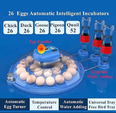 8, 16 And 26 Eggs Incubator