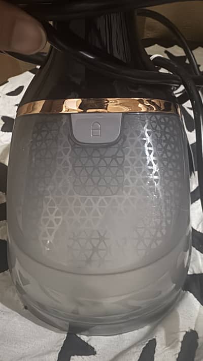 Krapton slightly used steam iron