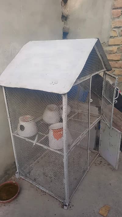 Birds cage