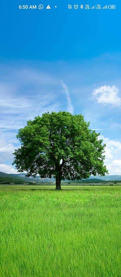 ToshRAM 2 GB MEMORY 500 GB laptop without Charger and battery  issue