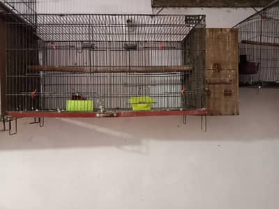 cage for sale 03020414665
